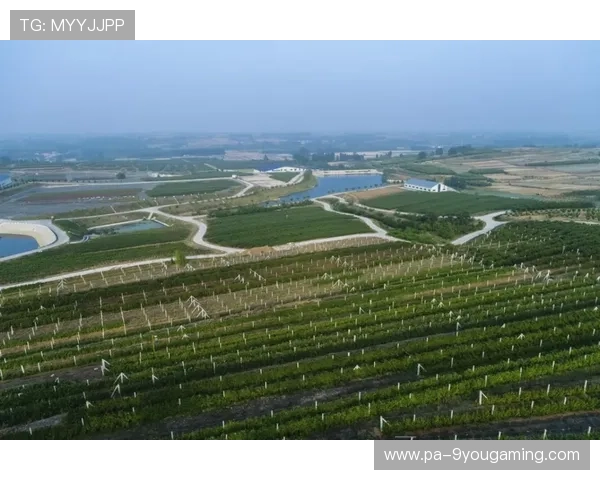 太阳越打越有底气——日照与健康的神奇联系